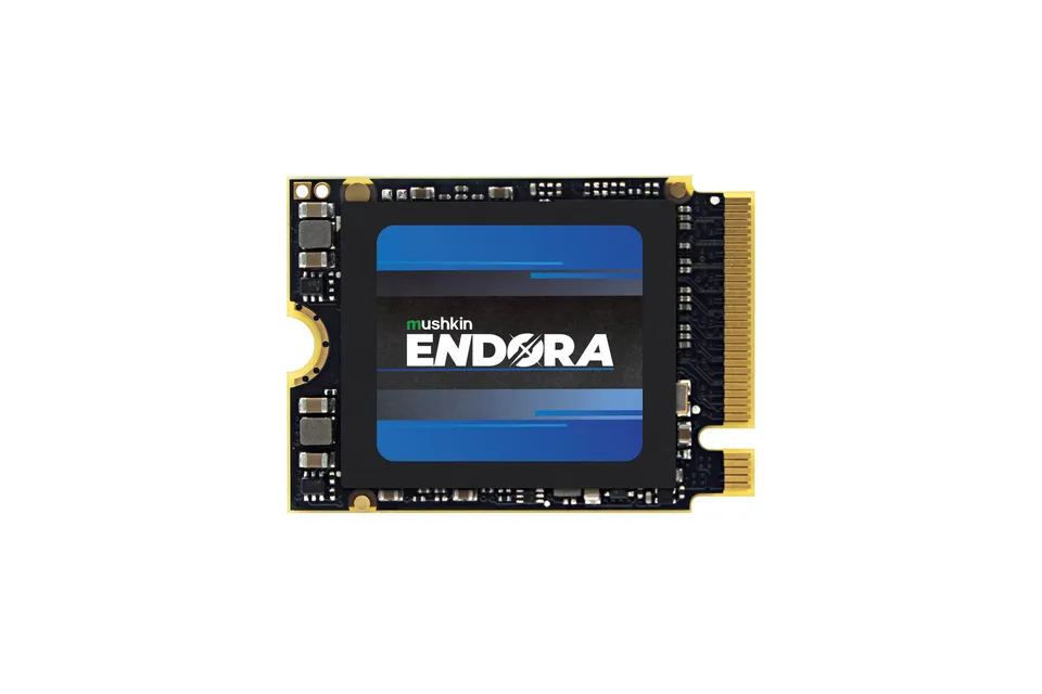 Mushkin Endora MKNSSDED2TB-D3 2TB M.2 2230 SSD