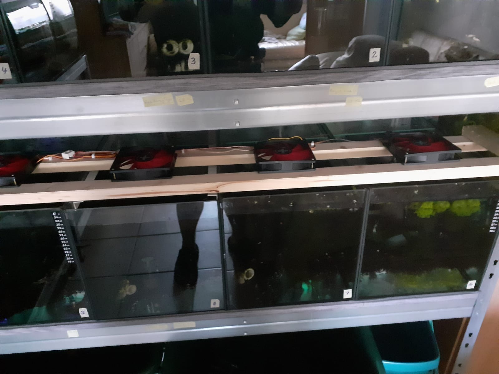 Xilence XPF92.R Gehäuselüfter 92mm 3PIN rot