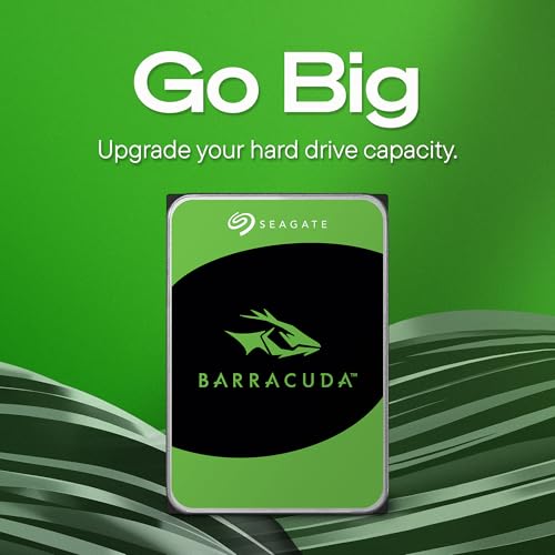 Seagate BarraCuda ST24000DM001 Festplatte 24TB 3,5 Zoll