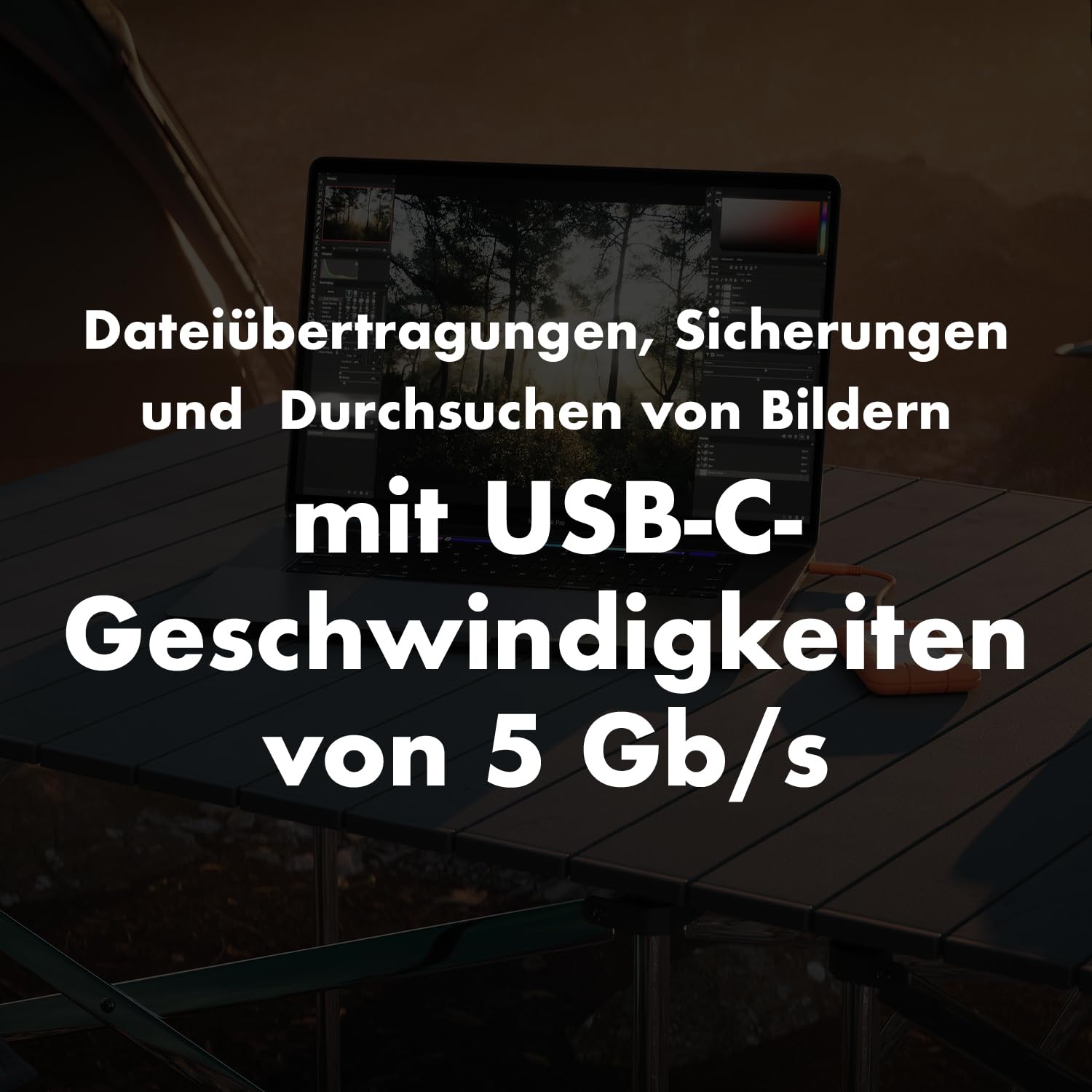 Seagate LaCie Rugged USB-C STFR1000800 externe Festplatte 1TB stoßfest